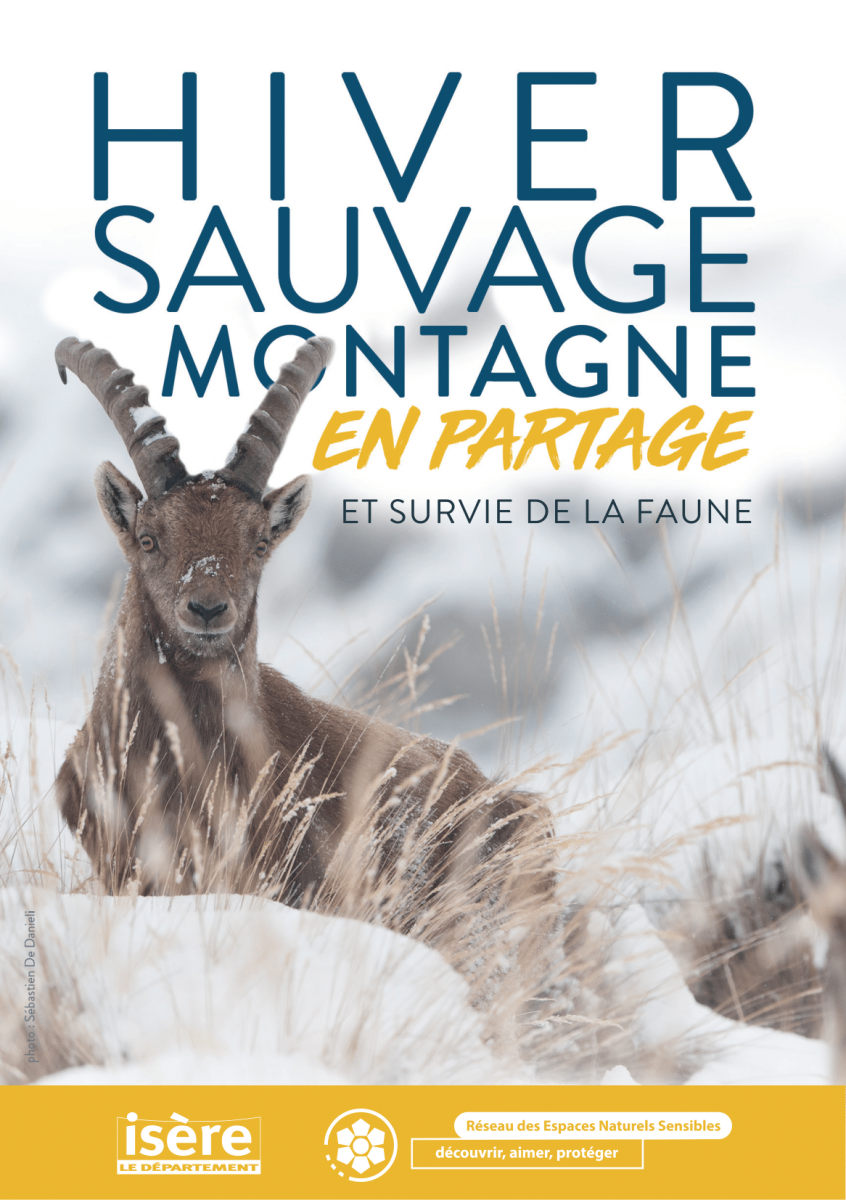 ens-isere-hiver-sauvage-montagne-en-partage-vignette