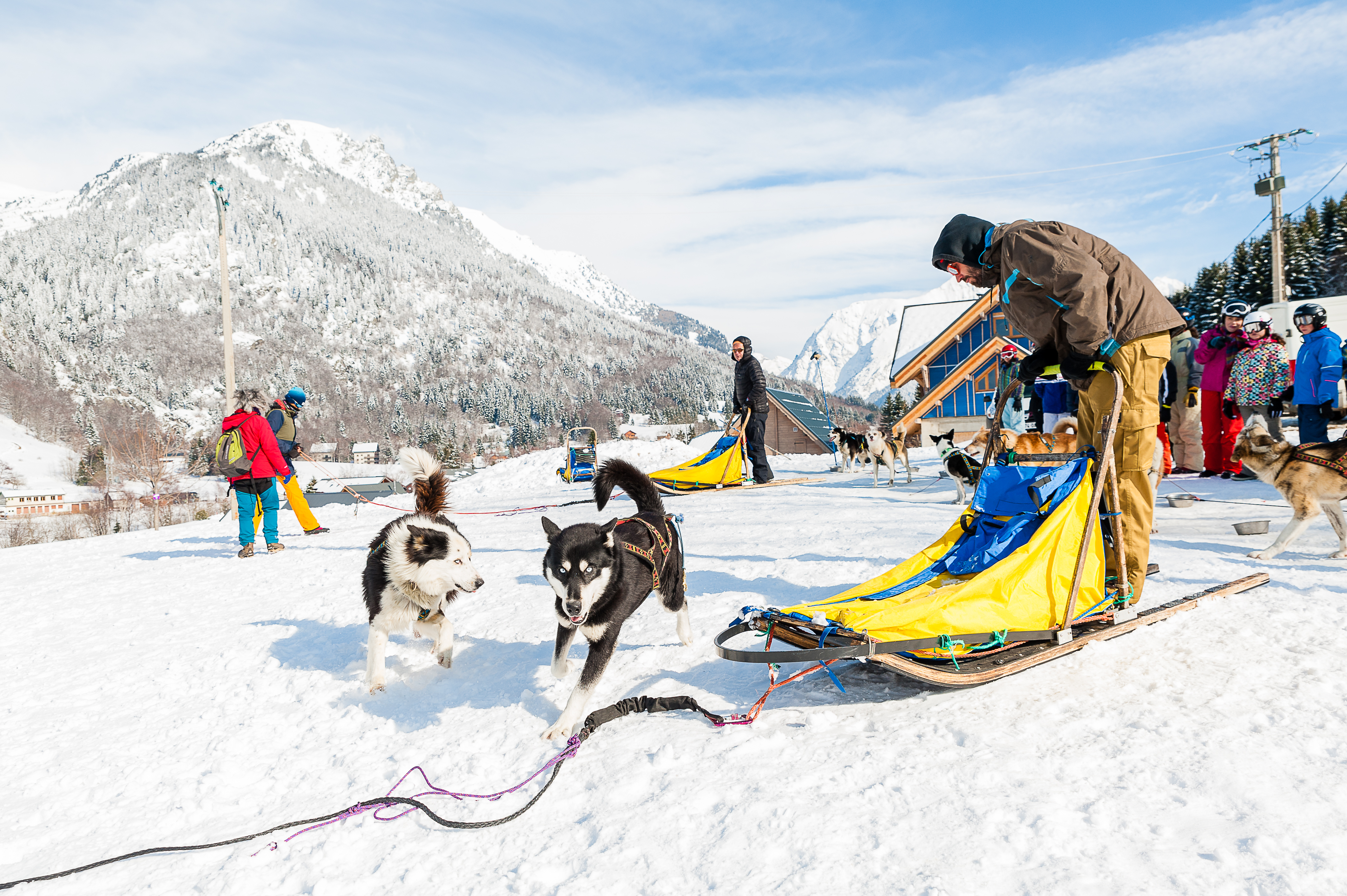 Initiation à la conduite de chiens de traineaux | Isère Tourisme
