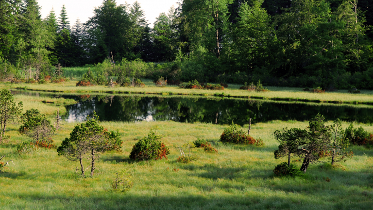 Rserve Naturelle du Luitel