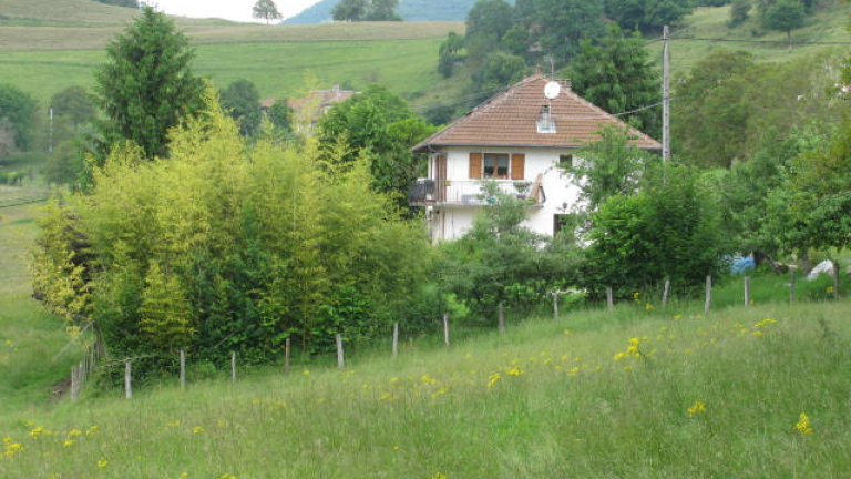 vue exterieur du gte entour de verdure et d'arbres