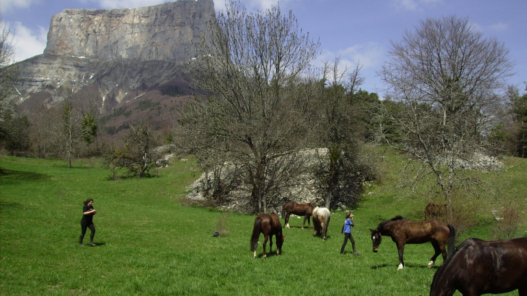 A cheval au pied du Mont Aguille
