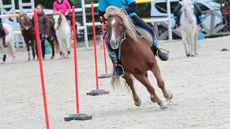 L'équitation plaisir à Chamrousse