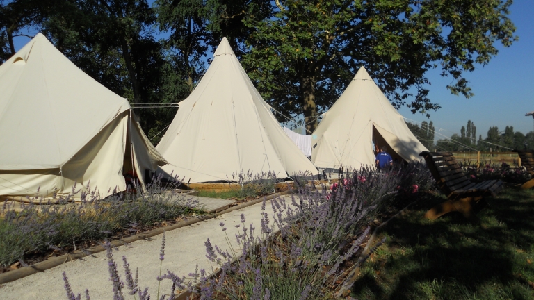 Séjour tipi et équitation au Poney Club de Sardieu