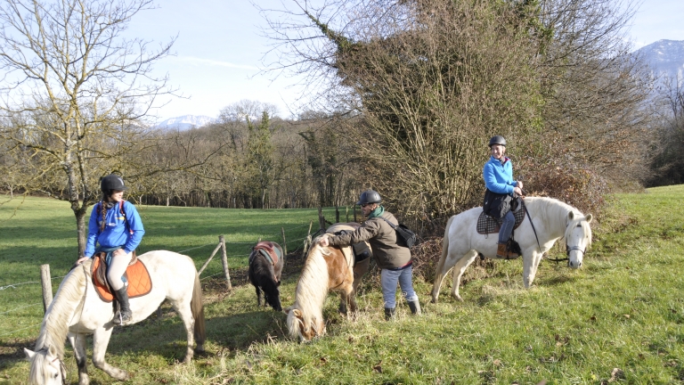 Sjour  poney avec la Petite Cavale d'Erika