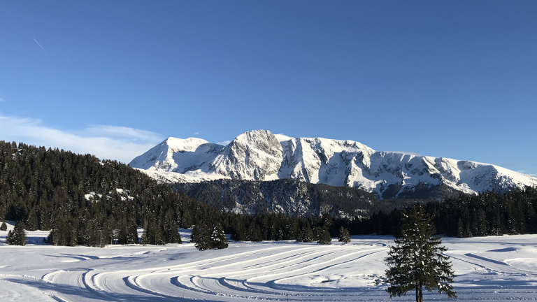 Photo du plateau de l'Arselle Chamrousse