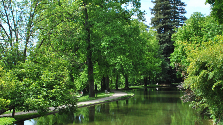 Parc du Clos des Chartreux