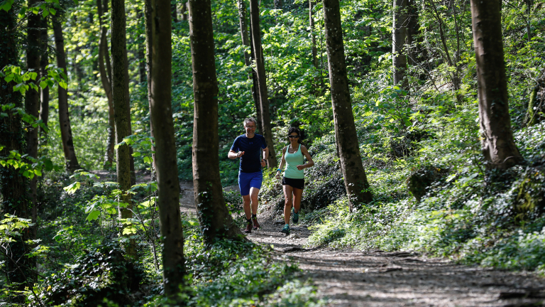 Trail "Bois des Vouillants"