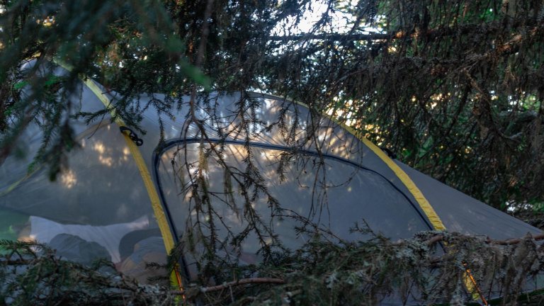 Photo tente suspendue dans les arbres Chamrousse