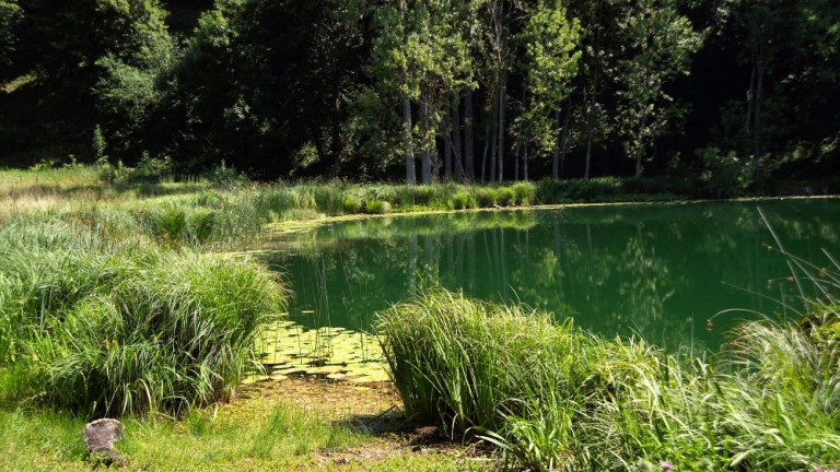 Lac de Saint-Sixte