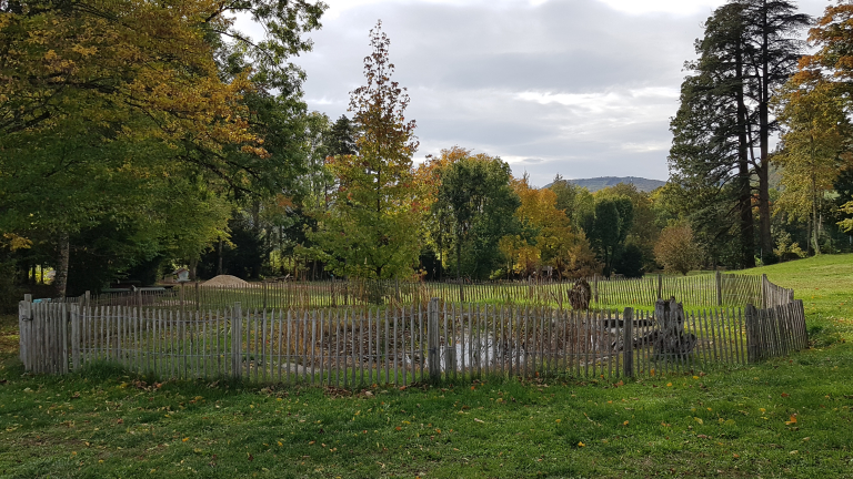 photo de la petite mare pdagogique du parc, protge par des barriere tout autour et vue sur les arbres qui l'entoure et une partie du parc