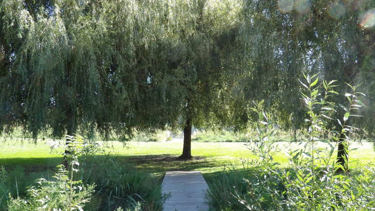 Parc Ouagadougou