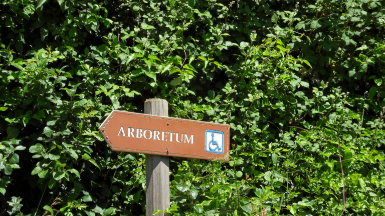 Arboretum