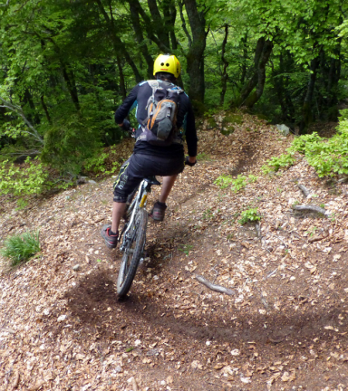 Le meilleur commence ici ... dbut de la descente vers le Mollard