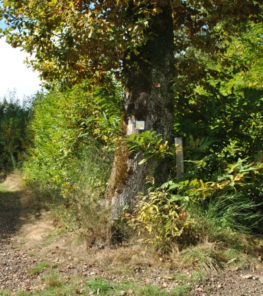 Circuit pdestre le Chemin des vaches Montferrat