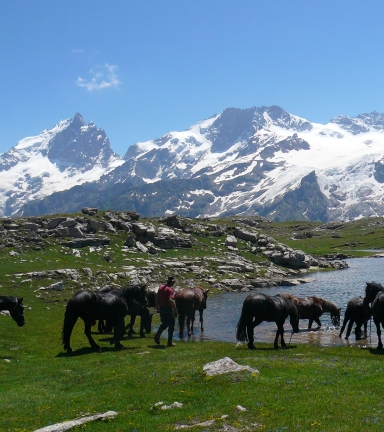 L'Oisans  cheval