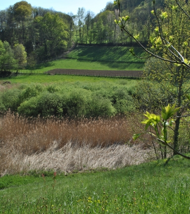 Rando pedestre Voiron Roseliere