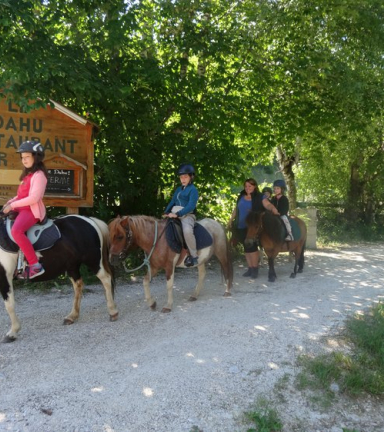 stage poney les curies de correnon