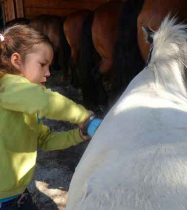 stage poney les curies de correnon