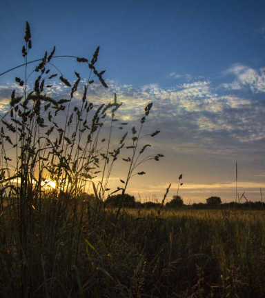 Espace Naturel Sensible des Communaux de Trept