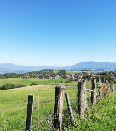 Chemin de Saint Martin_Velanne