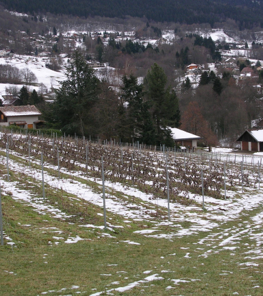 Clos de Martin