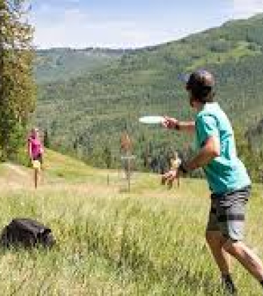 Frisbee golf image