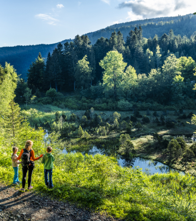 Rserve Naturelle du Luitel