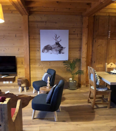 CHALET BOUTON D'OR Chalet 12 personnes