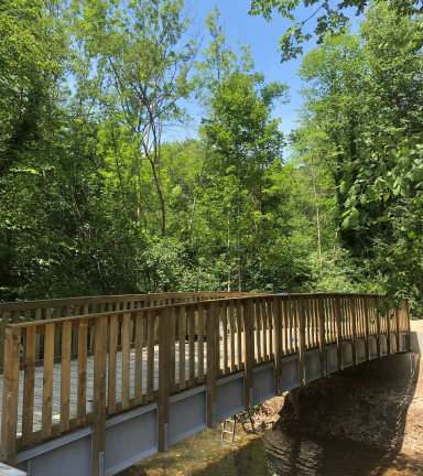 Passerelle sur la Via Chartreuse