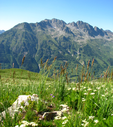 Vue sur le Rissiou