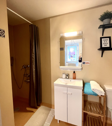 Une salle de douche accueille des toilettes et un lavabo dans une dcoration joliment pure