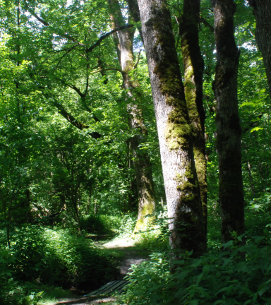 Natura 2000 Plaine de Bourg d'Oisans