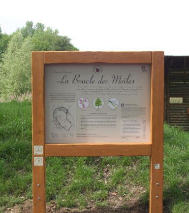 Tableau explicatif sur la faune et flore qui se trouve le long du Sentier Boucle des Moles