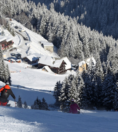 Ski Alpin Descente Le Pleynet