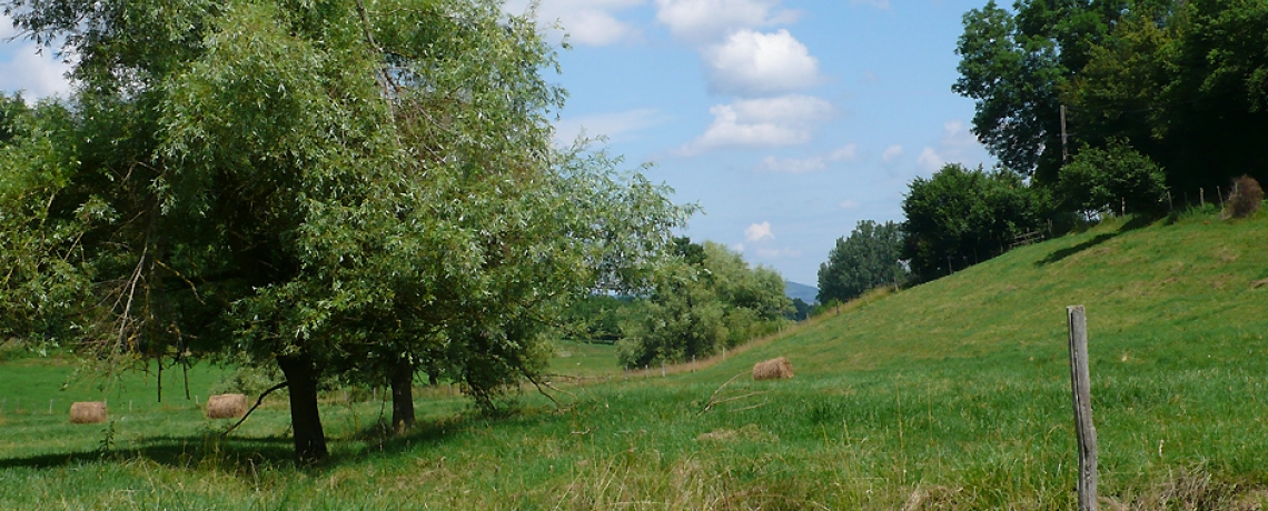 Bièvre-Valloire