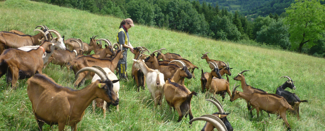 La Ferme de Labérou