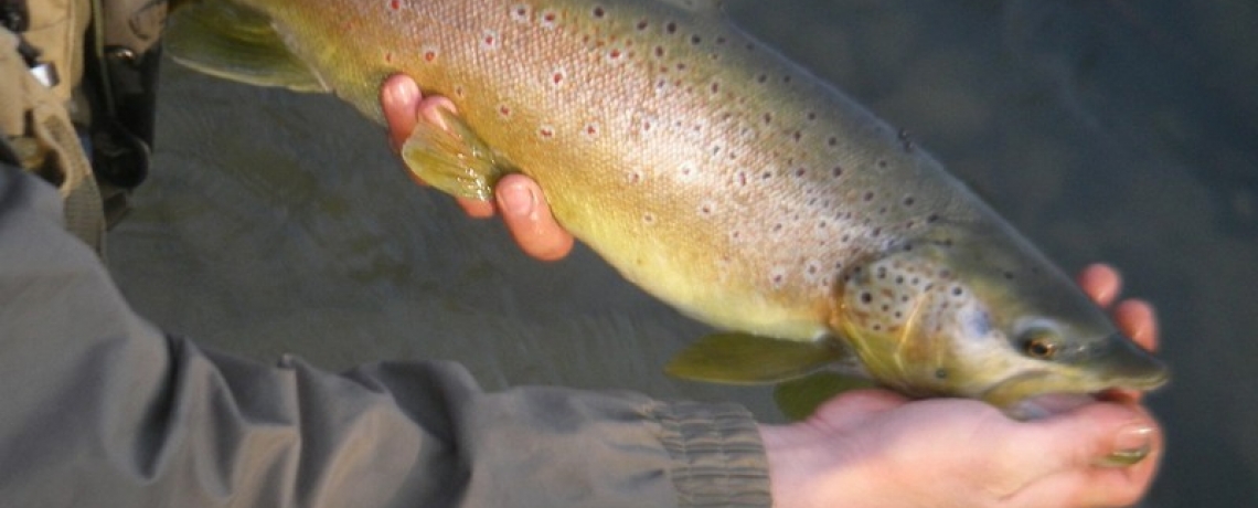 Pêche sur l&#039;Oron