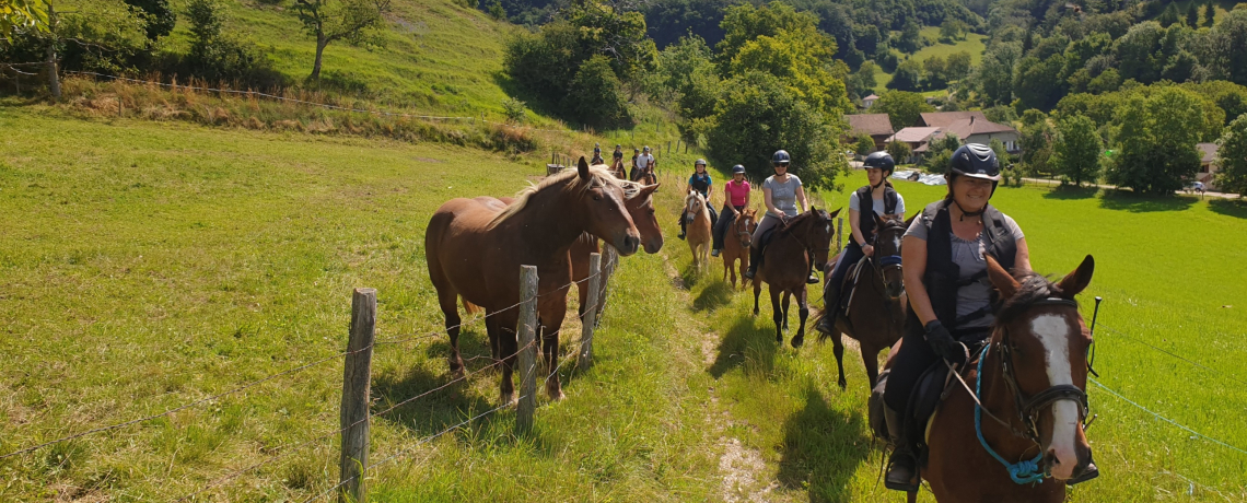 Un groupe de personnes, deux en tte  cheval et d'autres suivant  poneys, longent un champ dans lequel se trouvent deux chevaux. Leur promenade en pleine nature se fait sous un temps radieux.