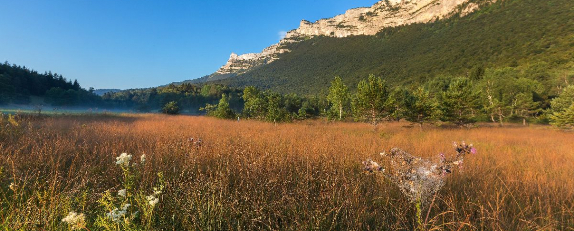 ENS Tourbire du Peuil