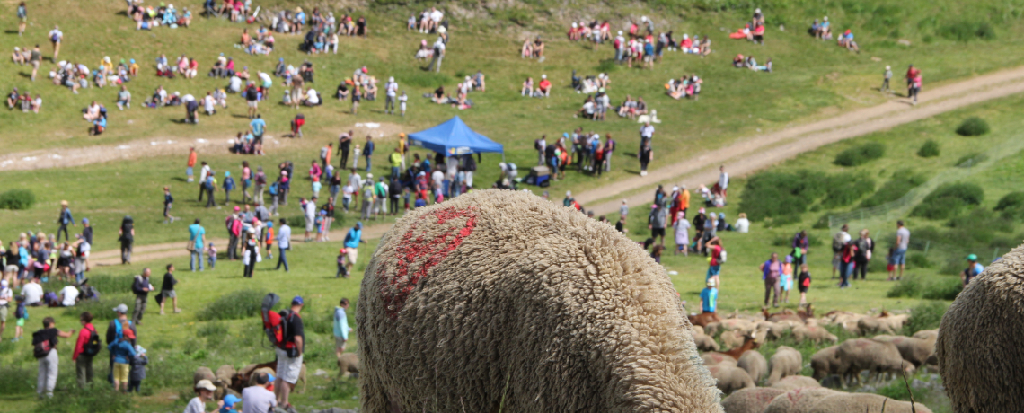 Fte de la Transhumance Chamrousse