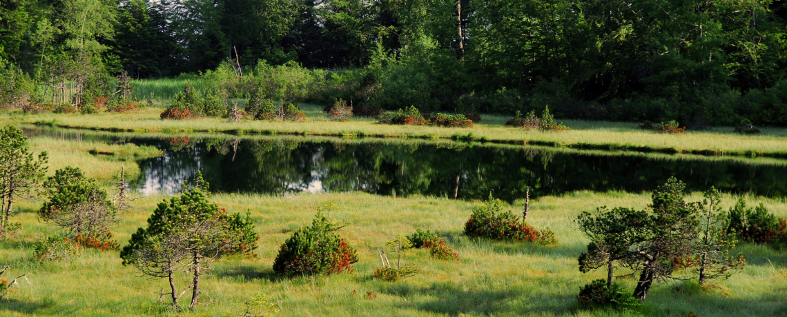 Rserve Naturelle du Luitel