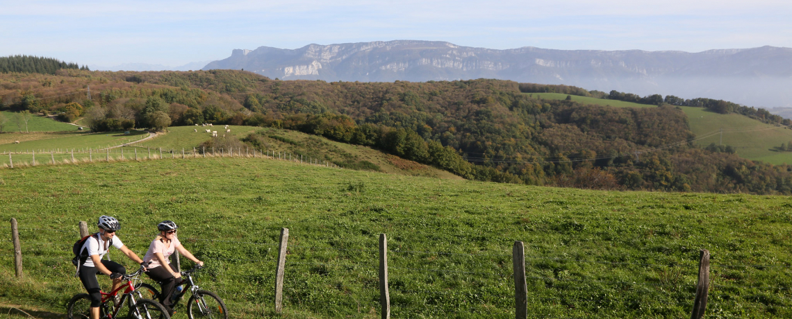 Crêtes et combes de Chambaran - VTT