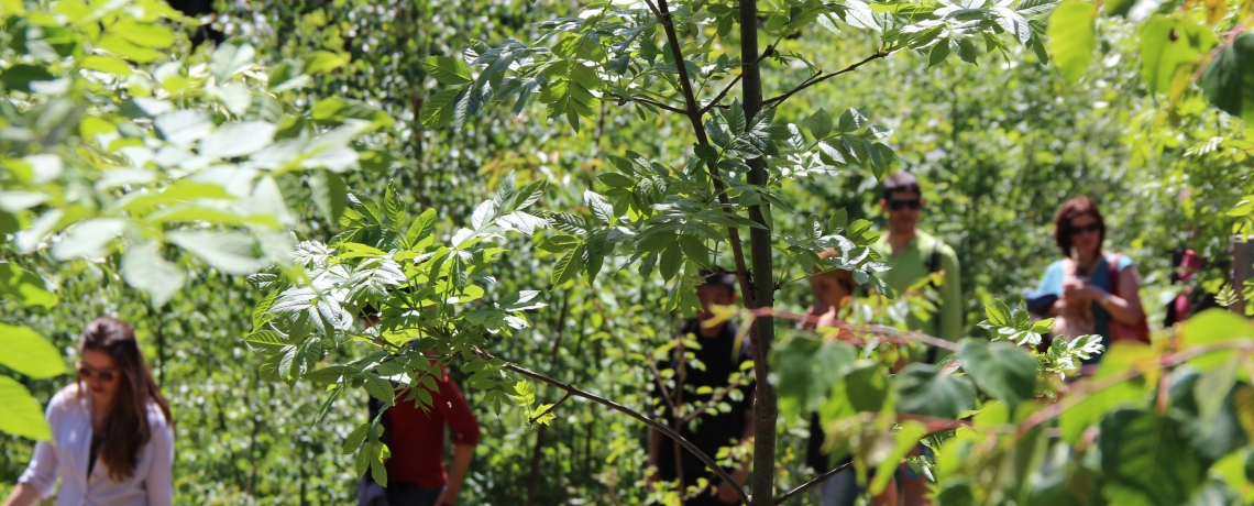 Jardin pédagogique des plantes culinaires et médicinales de Chartreuse