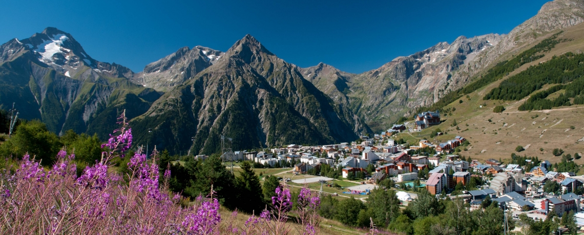 Génépi des sommets - Les Deux Alpes - Artisans locaux et artistes