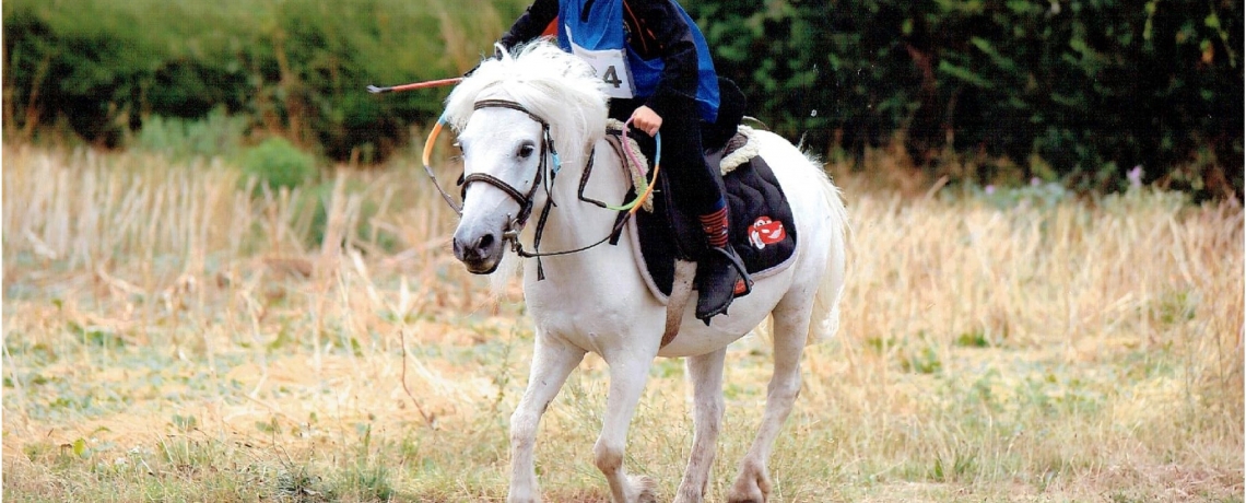 Equitation au Haras du Brin d'Amour