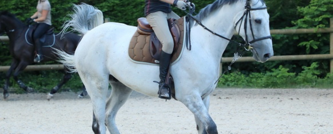 Cours d&#039;équitation