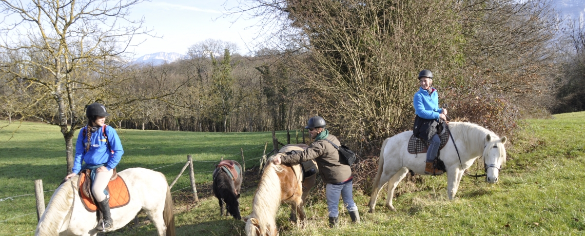 Sjour  poney avec la Petite Cavale d'Erika