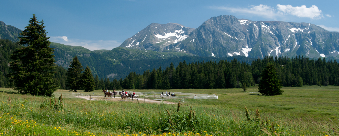 Photo du Plateau de l'Arselle en t