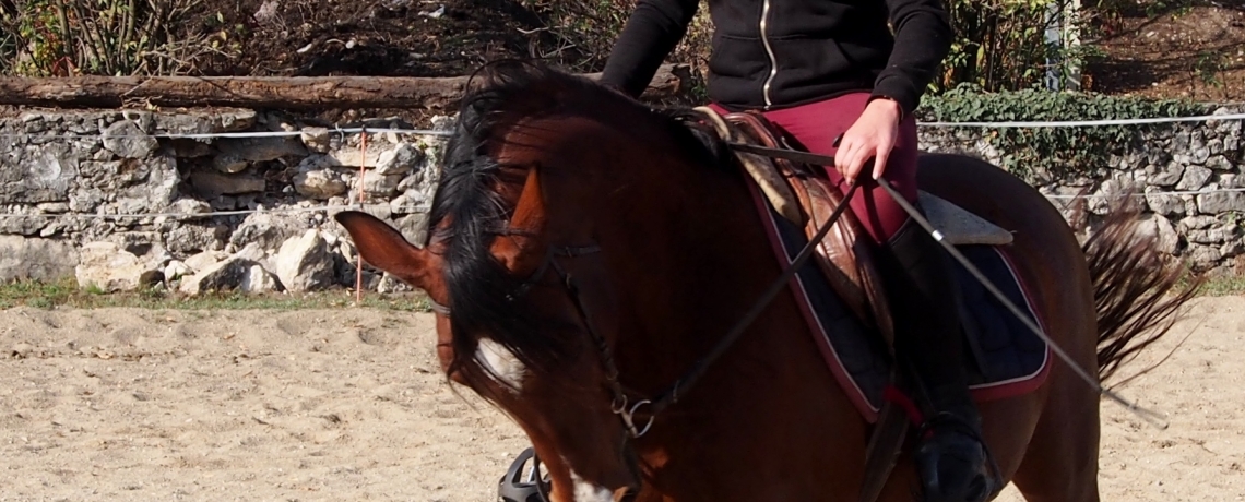 Leçons d&#039;équitation de pleine nature pour les adultes à la ferme équestre du Vercors