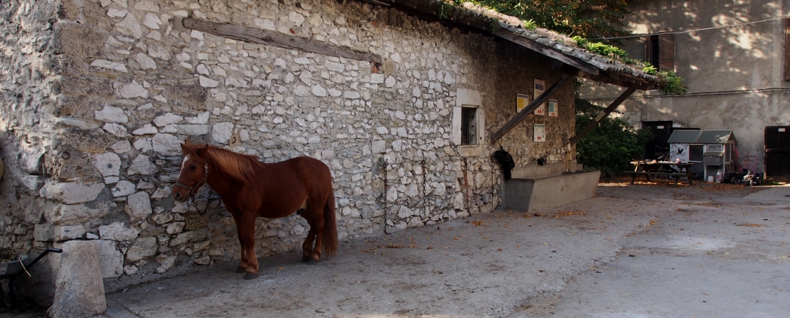Balade d&#039;initiation à cheval à Villard de Lans